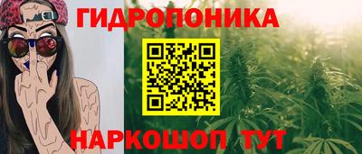 гидра Аргун