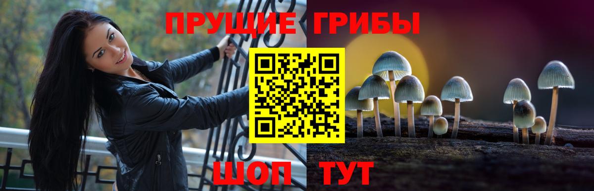 Псилоцибиновые грибы Psilocybine cubensis  Вход с VPN  Большой Камень 